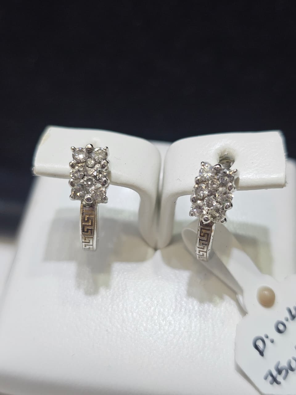 ANTING BR